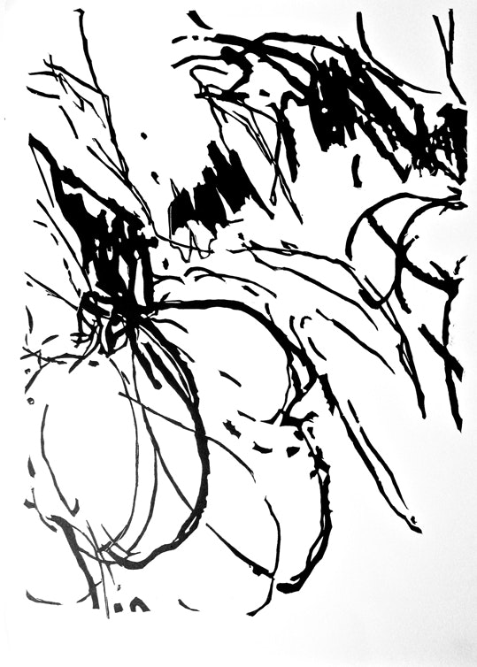 21.Walch